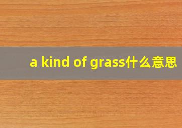 a kind of grass什么意思